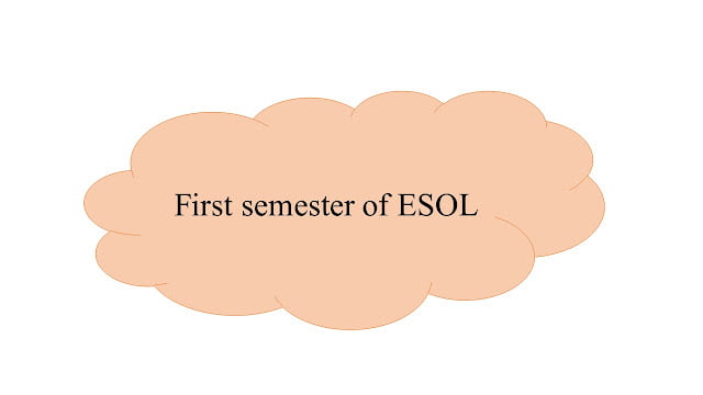 The courses of First Semester 