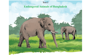 Text-3: Activity 1.2.1 Endangered Animals of Bangladesh